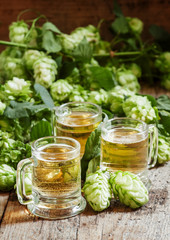 Beer in little old-fashioned mugs, and hop cones on old wooden b