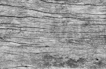 Old wood board at the wall texture background in black and white tone