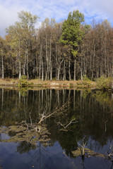 Fototapeta na wymiar Autumn pond