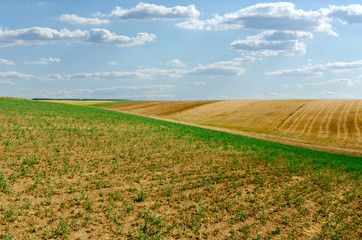 Fototapeta na wymiar Countryside landscape with cultivated fields