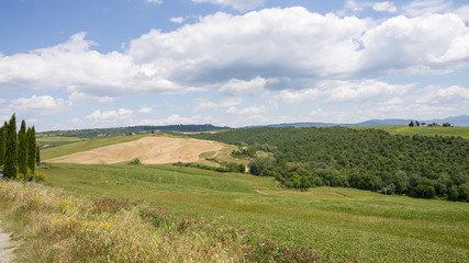 Fototapeta premium toscana