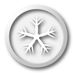 Snowflake icon