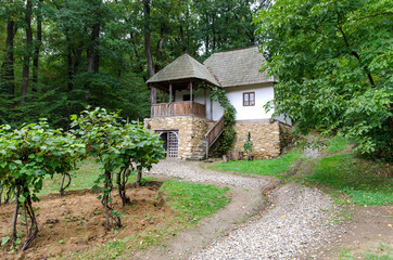 Traditional rural house from Romania. Vines cultivated in front of the house