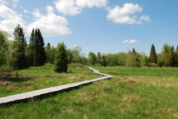 torfowisko © Marek Stokowski