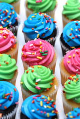 Multicolored Cupcakes Isolated on a White Background