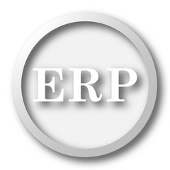 ERP icon