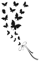 butterflies design