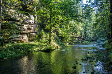Naklejka premium Czech Switzerland
