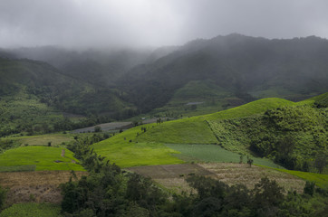 Beautiful green valley