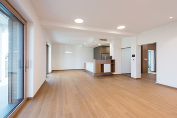 Fototapeta na wymiar Contemporary interior of kitchen with empty room