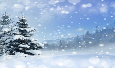 Fototapeta na wymiar Christmas trees in the snow