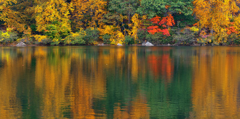 Autumn Lake