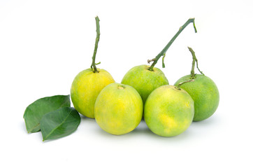Orange fruit