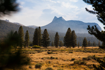 Toulumne Meadows, Yosemite NP, USA