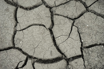 Efectos del cambio climático en la tierra