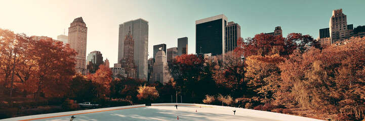 Central Park Autumn