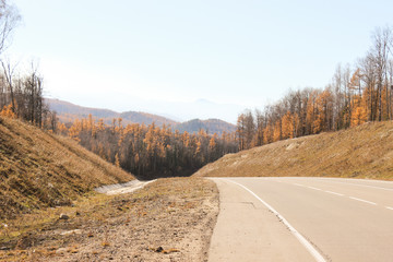 The road among the autumn forest.