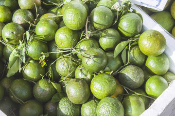 Citrus aurantifolia