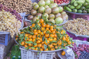  Citrus unshiu orange mandarins