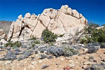 _DSC3864 - Version 2