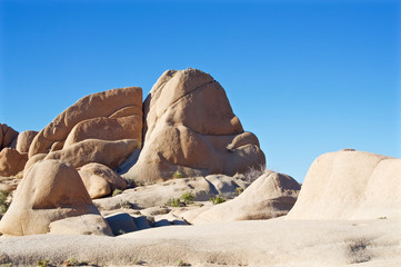 _DSC3900 - Version 2