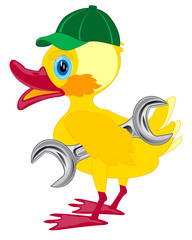 Duckling in cap and with key