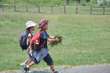 山歩きを楽しむ子ども達