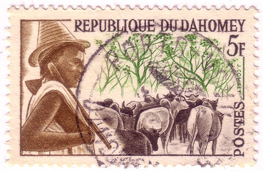 DAHOMEY - CIRCA 1963: A stamp printed in Dahomey (now Republic of Benin), shows Peuhl Herdsman and Cattle, from the series "Dahomey Tribes", circa 1963