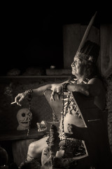 An indigenous shaman and a Mayan priest performing ancient magic rituals, connecting with the...