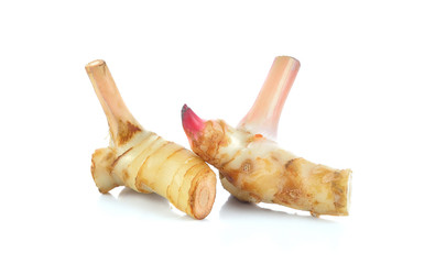 galangal on white background