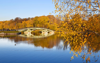 Obraz premium Autumn landscape on a sunny day