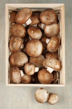 Brown cap mushrooms in box