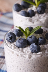 Fototapeta na wymiar Chia seeds with yogurt and blueberries macro. Vertical 
