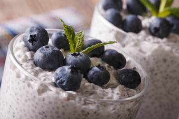 Chia seeds with yogurt and blueberries macro. horizontal
