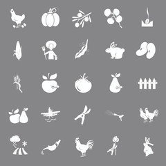 Fototapeta premium Set of twenty five agriculture icons