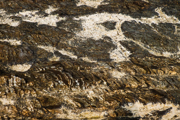 Stone Texture and Background, Rock Texture and Background