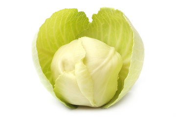 Cabbage