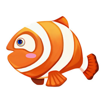Illustration: Elements Set: Beautiful Fish. Realistic Cartoon Life Style. 