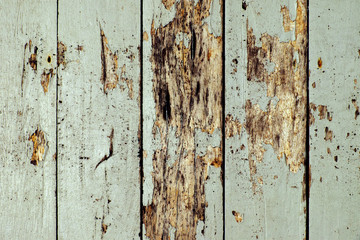 Old Wooden Background with the Scratch