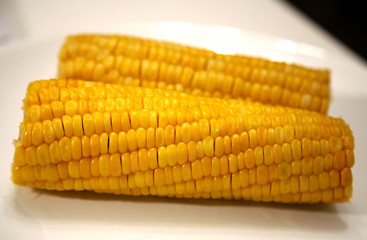 Boiled corn on a plate