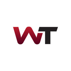 Modern initial Logo WT