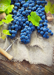 grapes in vintage setting with corks on wooden table