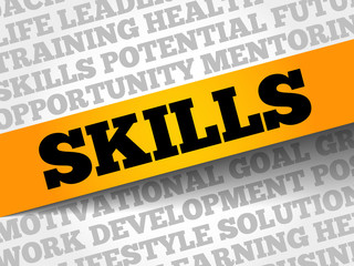 SKILLS word cloud, business concept