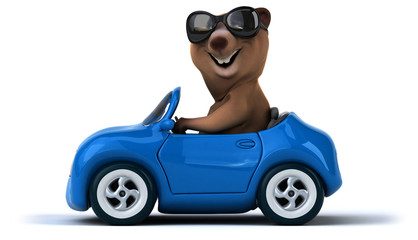 Fun bear