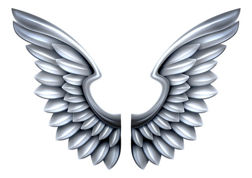 Silver Metal Wings
