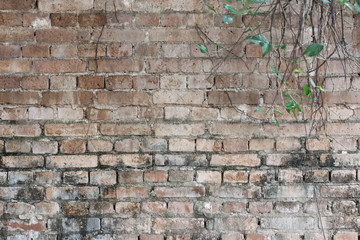 old brick wall