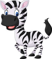 Fototapeta na wymiar Cute baby zebra posing isolated on white background 