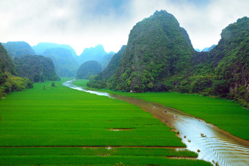 Fototapeta na wymiar Rice field and river, NinhBinh, vietnam landscapes