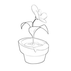 Illustration: Coloring Book Series: A Potted Flower. Soft thin line. Print it and bring it to Life with Color! Fantastic Outline / Sketch / Line Art Design. 