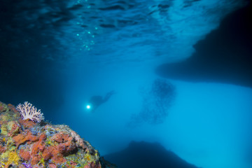 Taucher - Höhle - Karibik